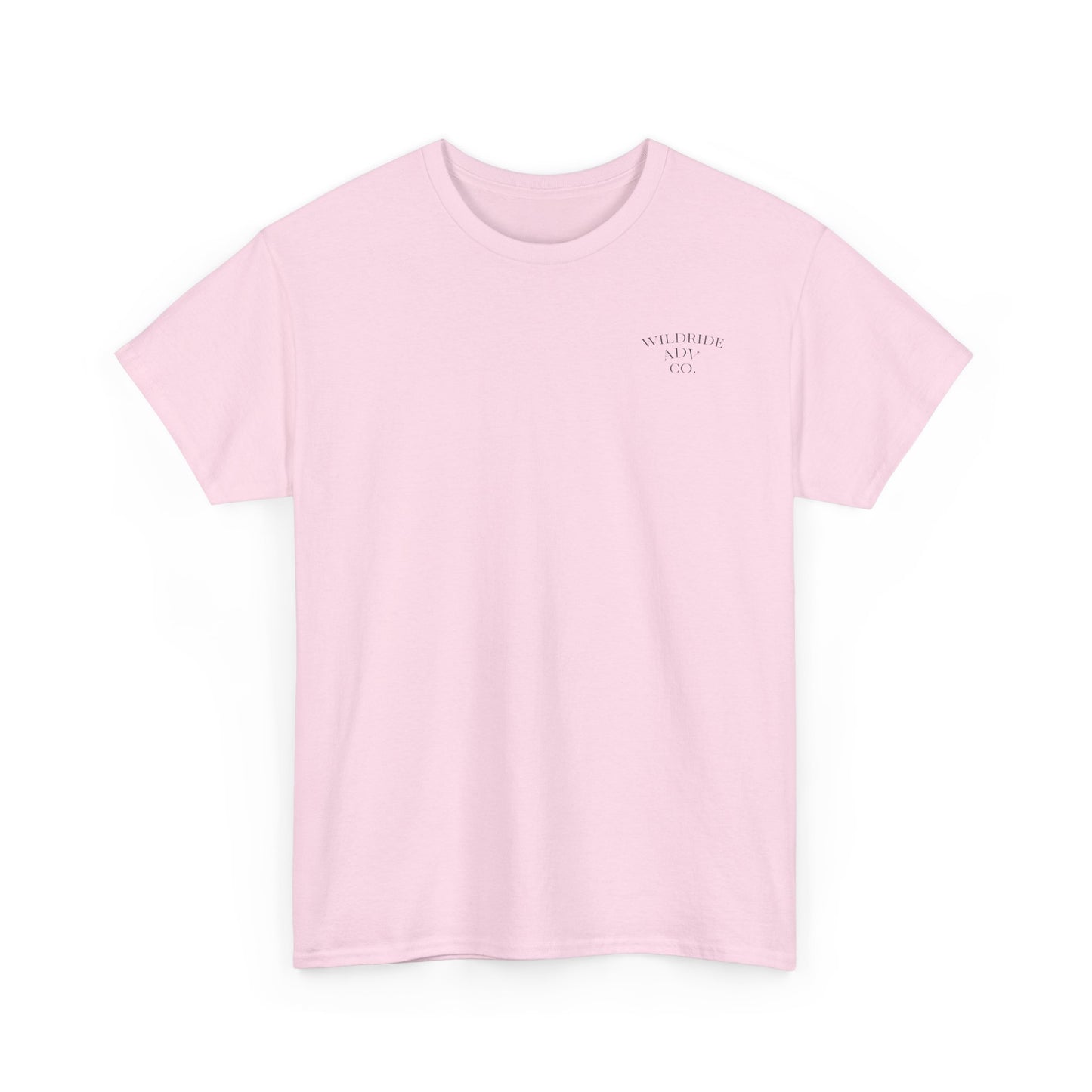 Go and Make Disciples, Motivational Christian Tee