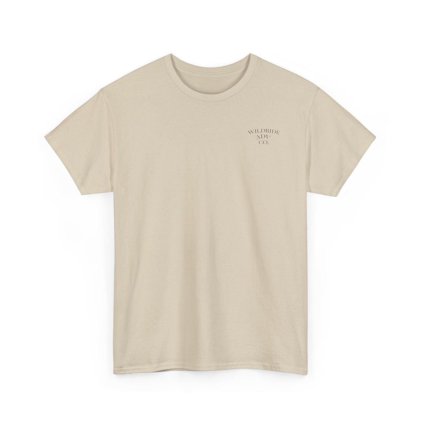 Go and Make Disciples, Motivational Christian Tee
